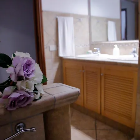 Casa Con Piscina Grande E Idromassaggio Jacuzzi Lägenhet Collesalvetti