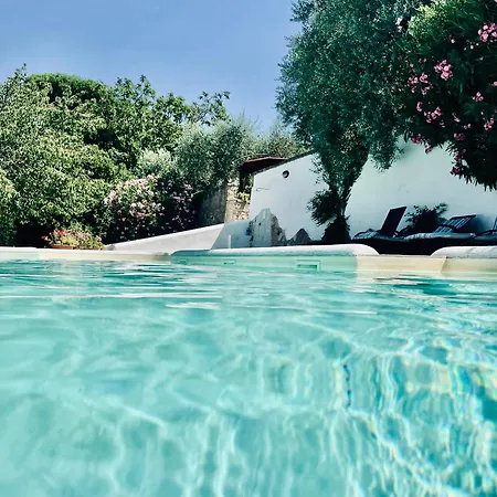 Lägenhet Casa Con Piscina Grande E Idromassaggio Jacuzzi Collesalvetti